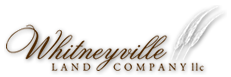 Whitneyvilleland Logo