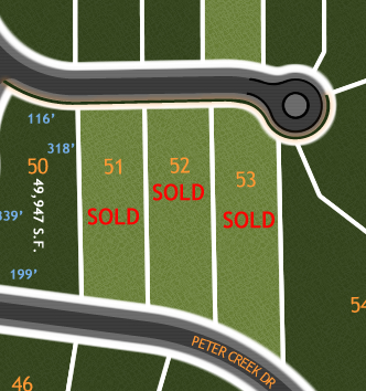 River Bluffs Lot Diagram