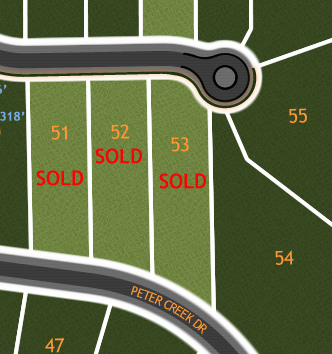 River Bluffs Lot Diagram